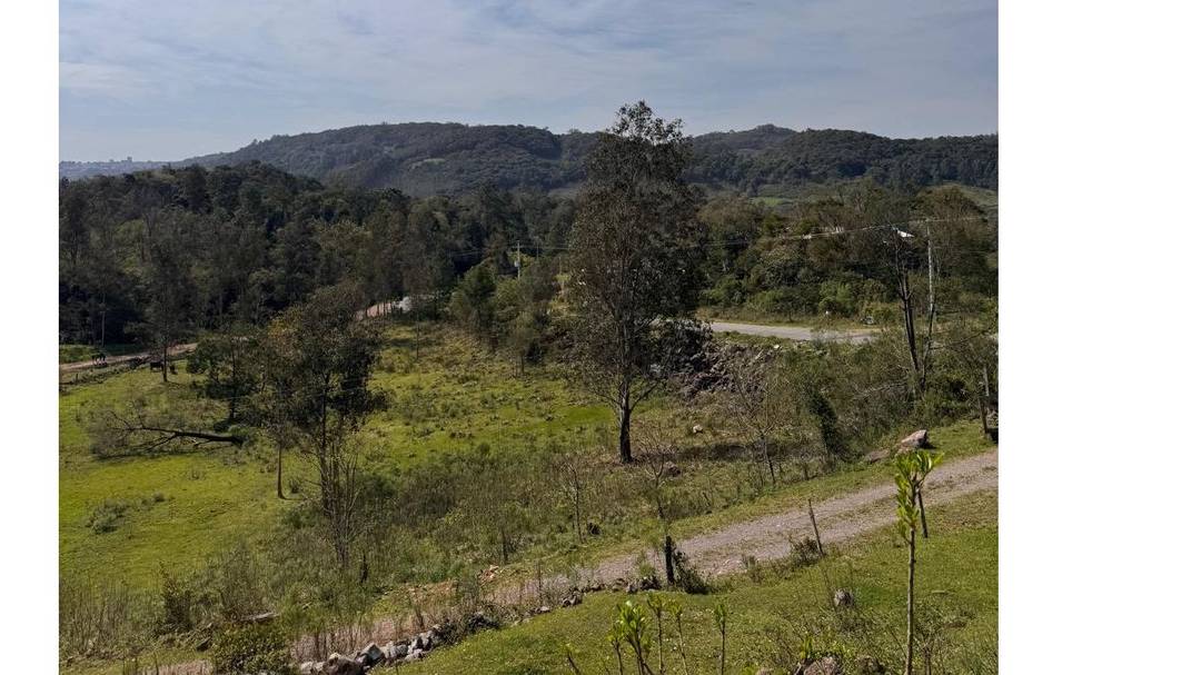 Terreno Estr. Mun. Da Uva - Caxias