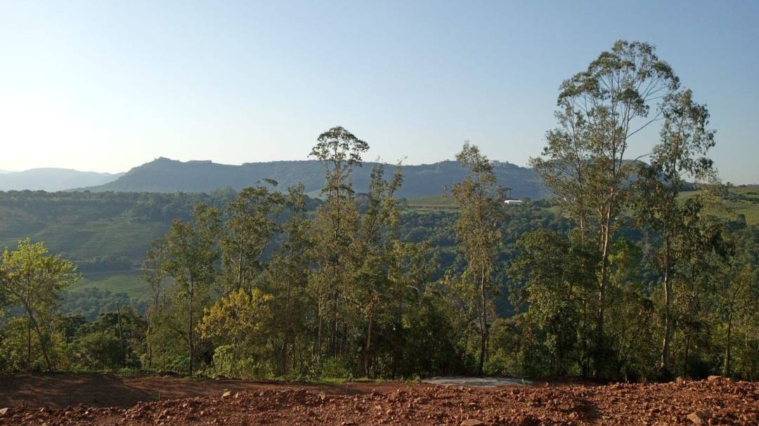 Área Para Sítio Em Faria Lemos